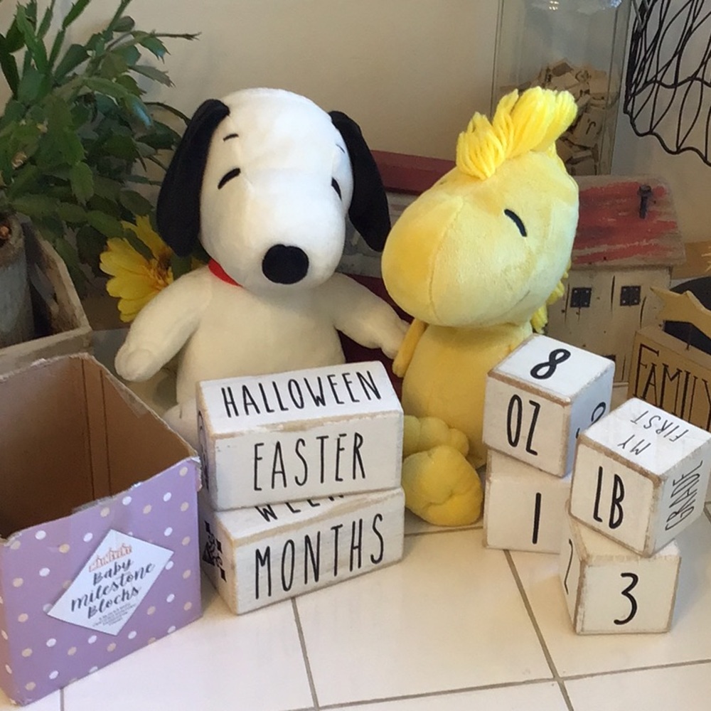 ‘MainEvent’ Wooden Baby Milestone Blocks